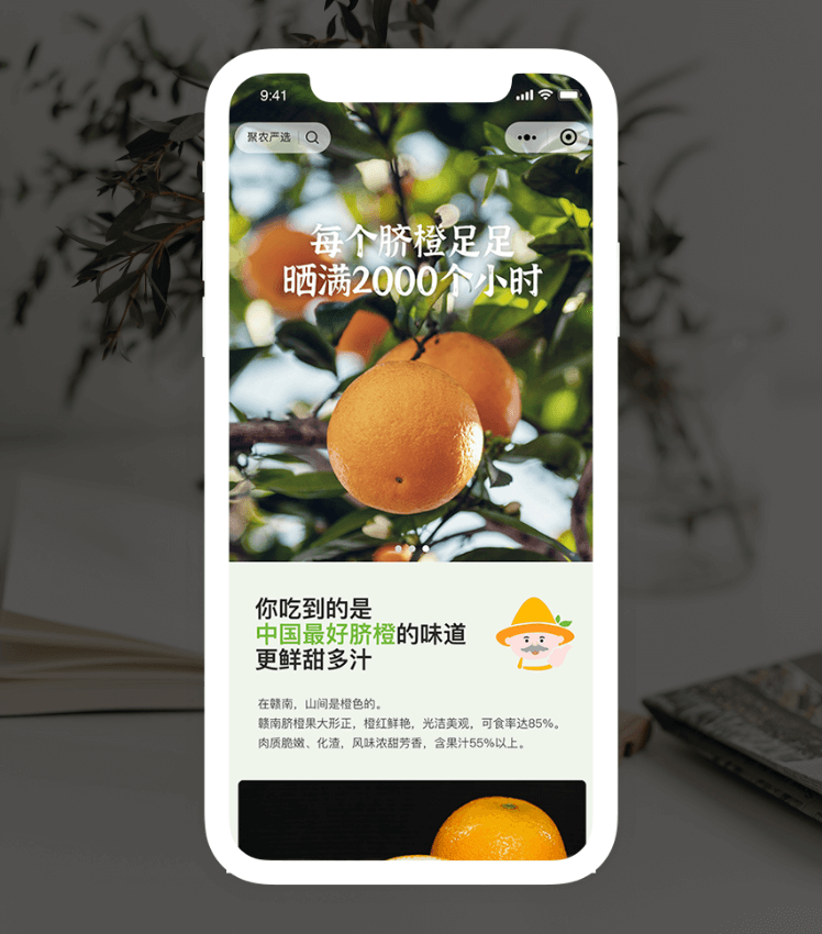 9001cc金沙以诚为本(中国集团)有限公司官网